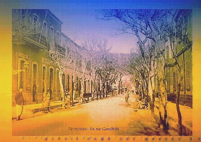 NEMOUR  LA RUE GAMBETTA.jpg